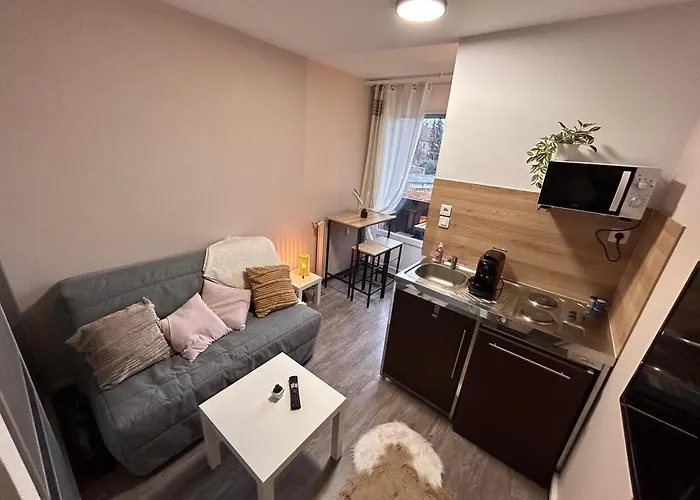 Cosy Neuf Avec Balcon Apartmán *